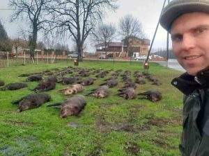 Croatian Wild Boar