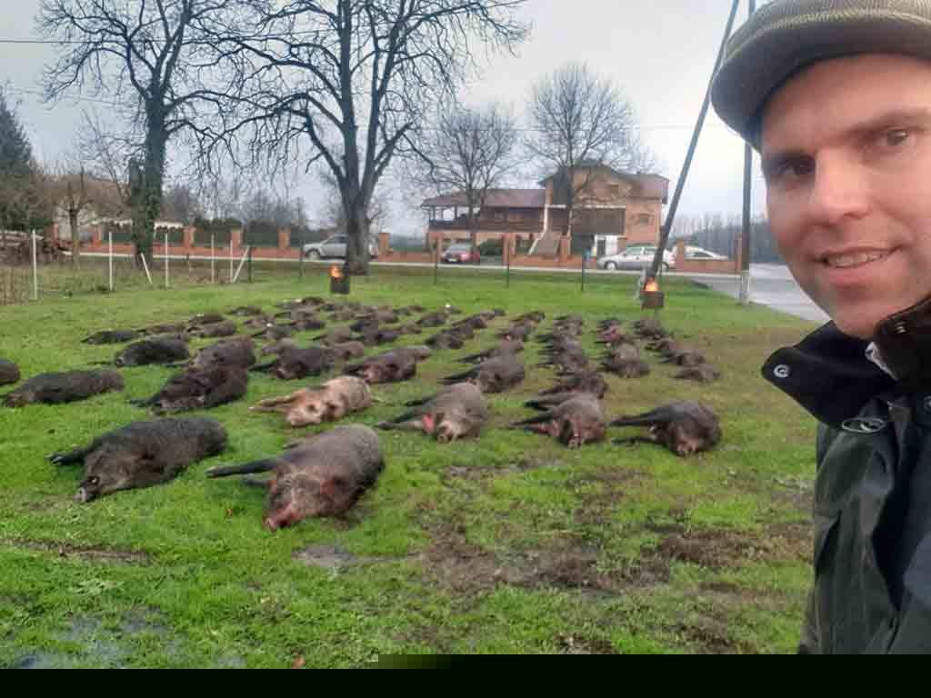 Croatian Wild Boar